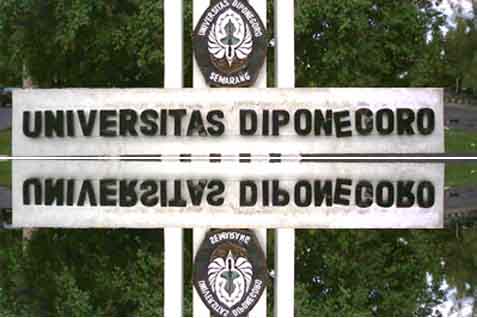 Universitas Diponegoro. / Dok. Istimewa